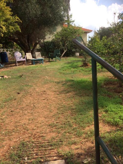 זכרון יעקב