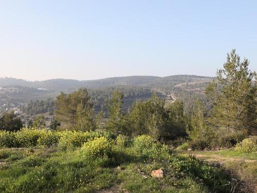 Mevaseret Tsiyon