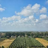 עכו